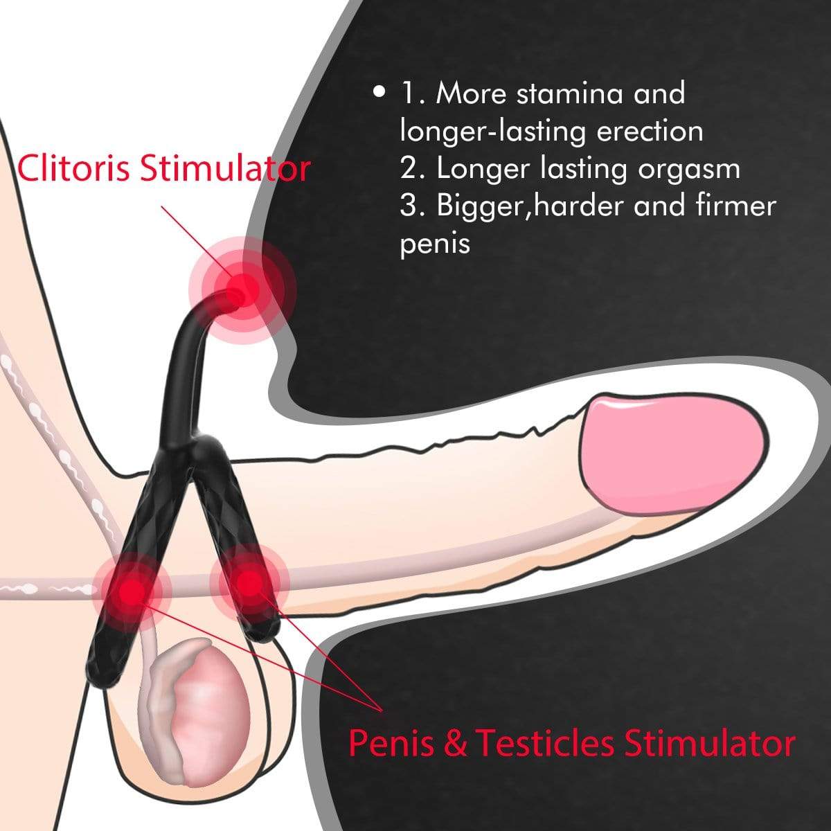 Testicle Ring | Dual Penis Cock Ring