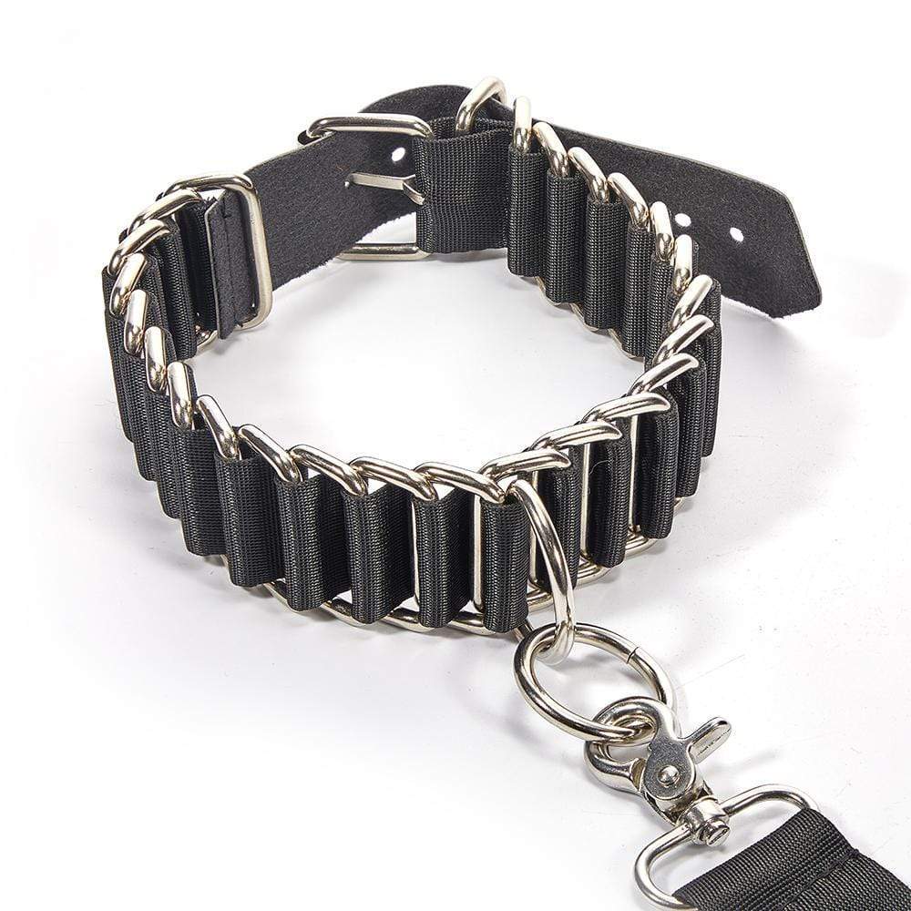 ROOMFUN Interlocking Nylon Traction Collar